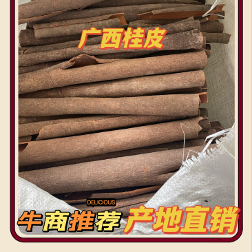 【广西桂皮】防城桂皮水洗通中通小通产地发货一手货源