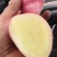 云南高原精品土豆清水9号红皮黄心土豆产地直供一手