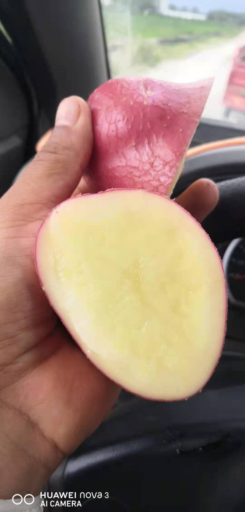 云南高原精品土豆清水9号红皮黄心土豆产地直供一手