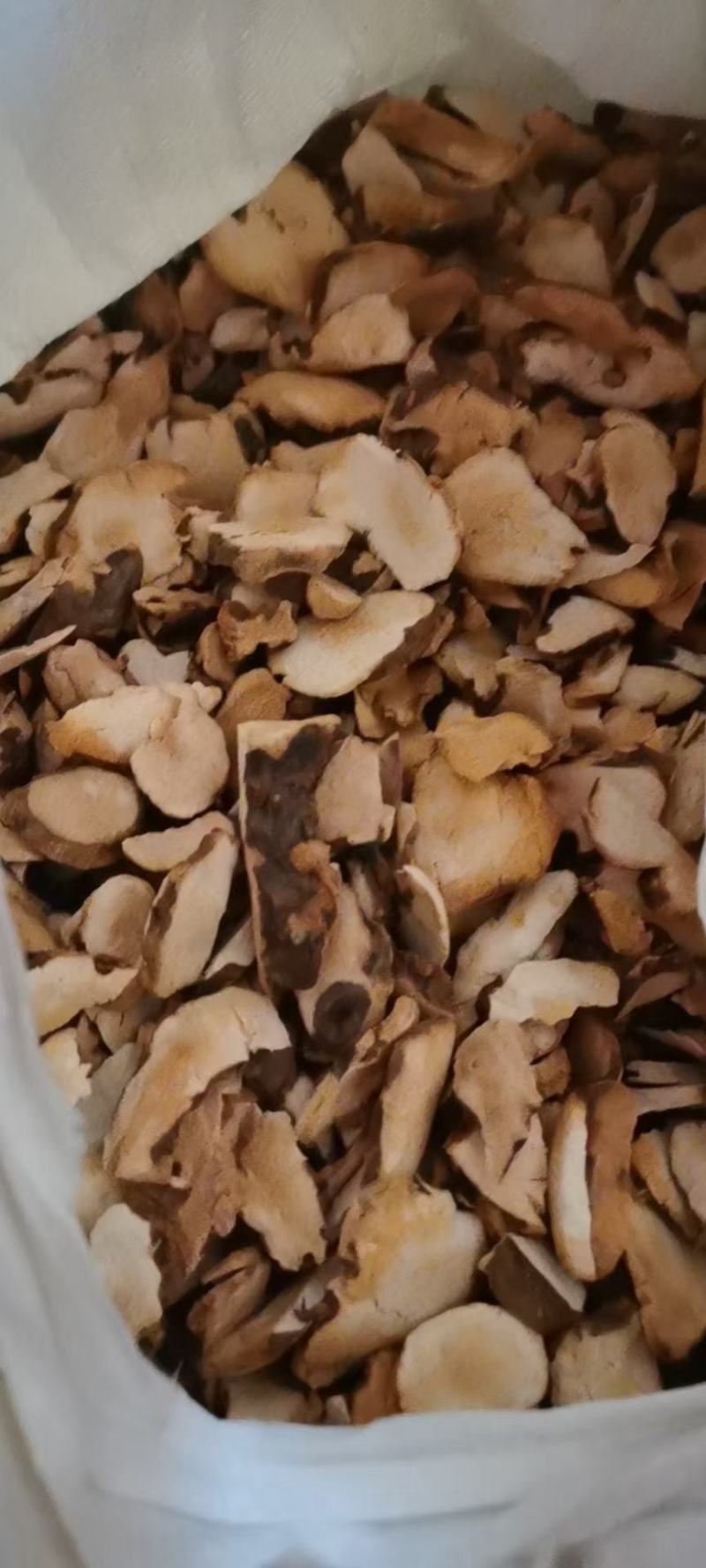 土伏苓