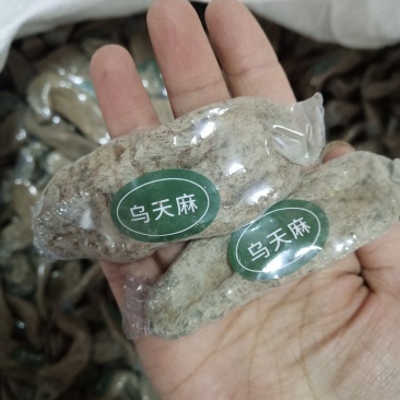 批发.乌天麻天麻500克个子云南天麻煮汤非红天麻条