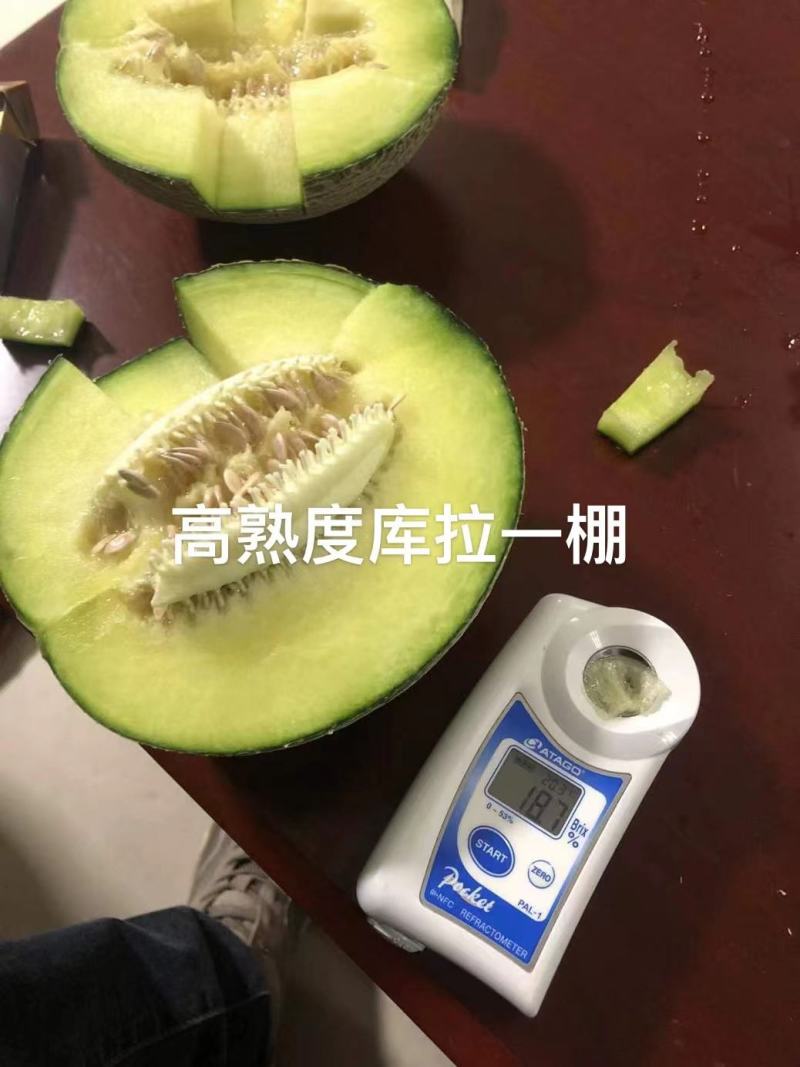 精品网纹瓜玫珑鲁厚甜产地直供专业代办欢迎老板前来选购