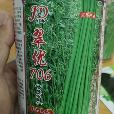 长豆角种子，粗细均匀，不鼓粒，肉质厚85厘米以上