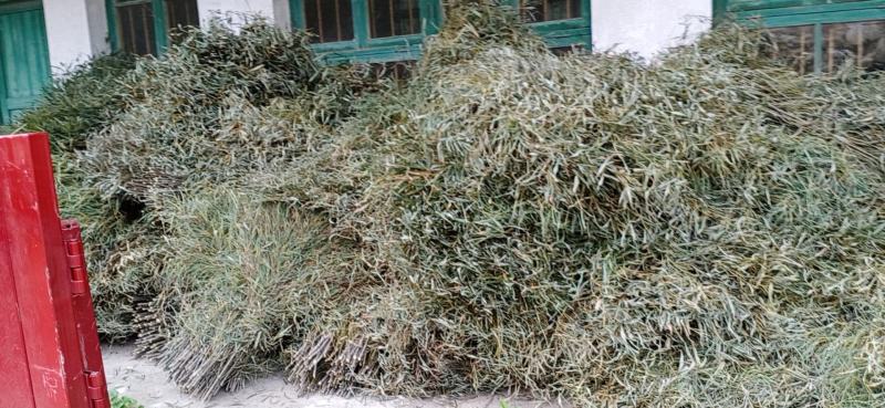 竹跳板质量上乘品质保证全国发货欢迎咨询