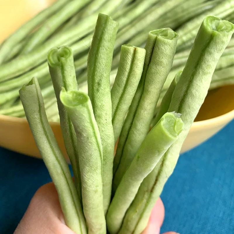 长豆角种子，粗细均匀，不鼓粒，肉质厚85厘米以上