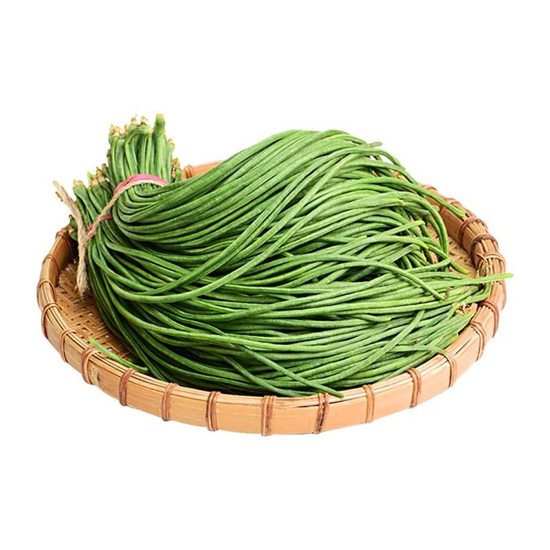 长豆角种子，粗细均匀，不鼓粒，肉质厚85厘米以上