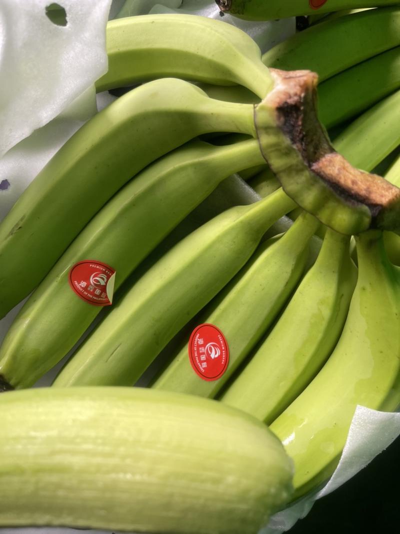 国产香蕉，进口精品香蕉菲律宾，常年供货，欢迎联系看货！