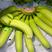 菲律宾进口香蕉。越南，柬埔寨，菲律宾，印尼，量大从优