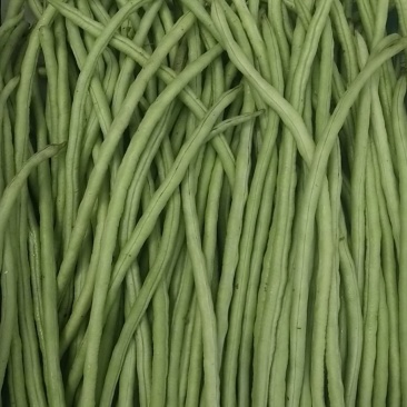 辣椒。茄瓜。甜豆角，苦瓜，白水丝瓜，青水丝瓜。焊王瓜。