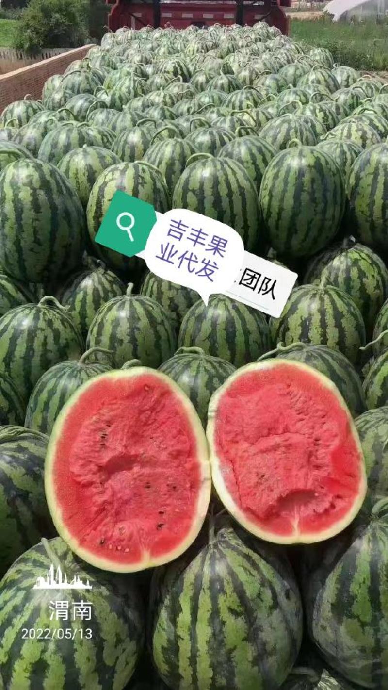 陕西甜王大量供应，口感酥甜，糖度高，小薄皮，双红瓤