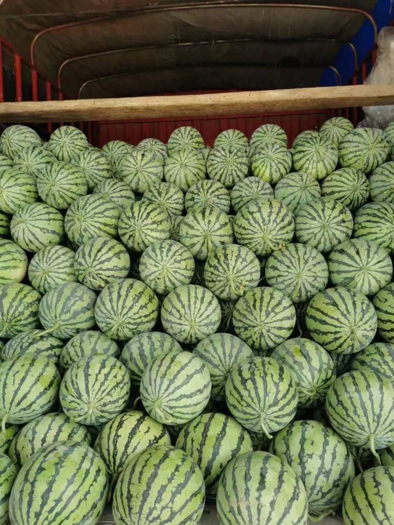 麒麟西瓜，一茬，6斤打底，宿州埇桥区周亚来果蔬代收