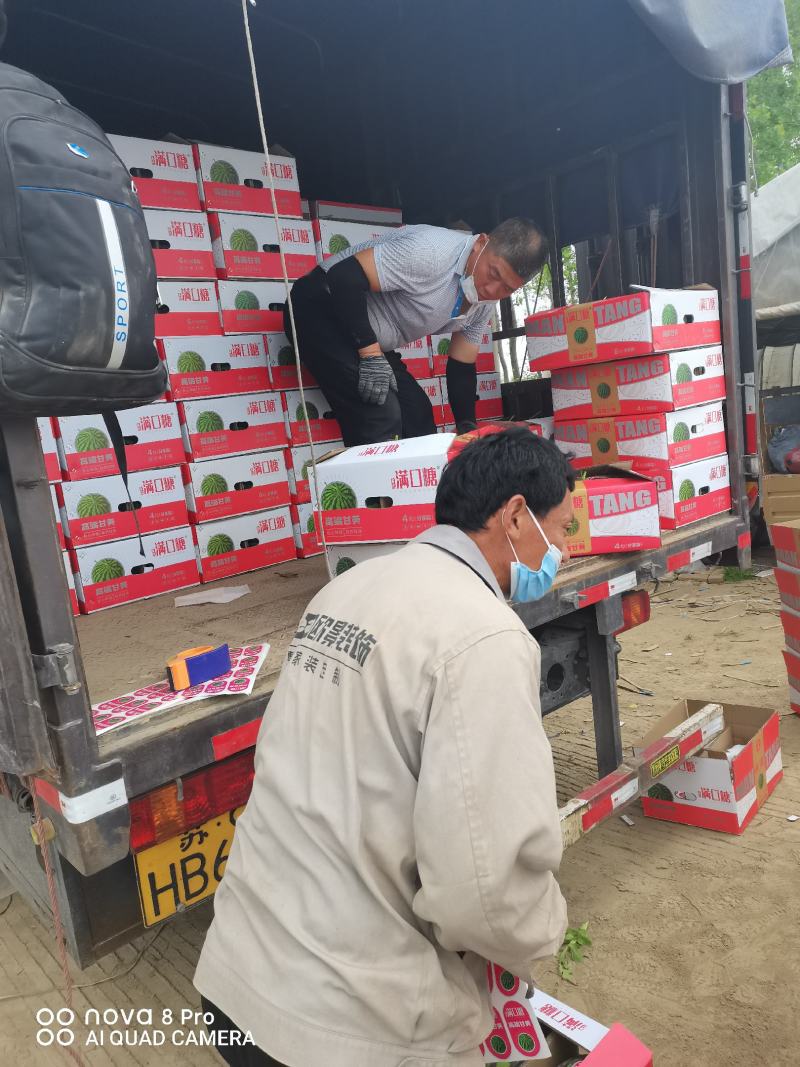 【精选】甘美4K西瓜糖分15视频看货产地直发欢迎联系