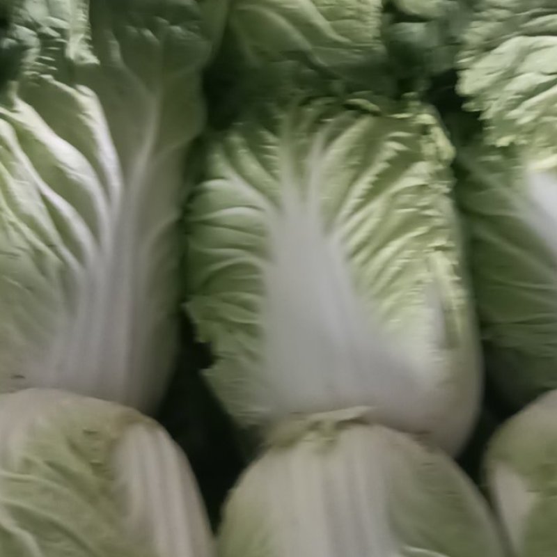 黄心白菜