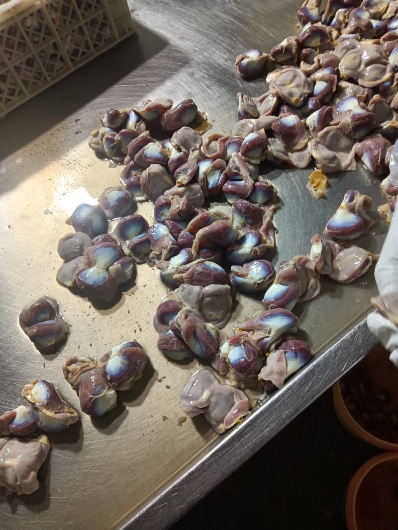 樱桃谷瘦肉型白条鸭及副产品