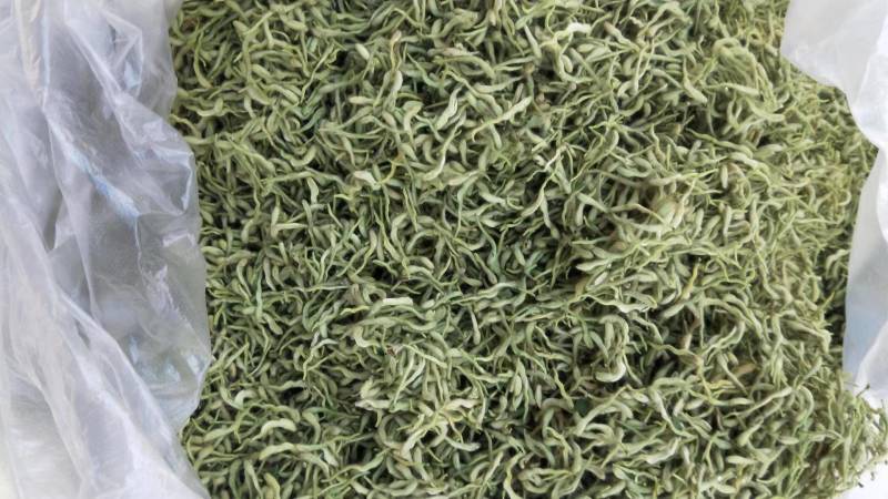 平卧菊三七茶，味道好，厂家直供，厂家批发价格，