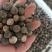 橙子香橙果果枳实新货大量现货现货大小规格都有