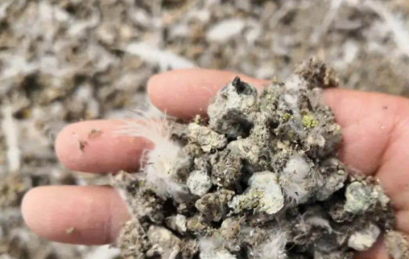 【推荐】广西鸽粪包含上车，好果树用好肥厂家直销品质保证