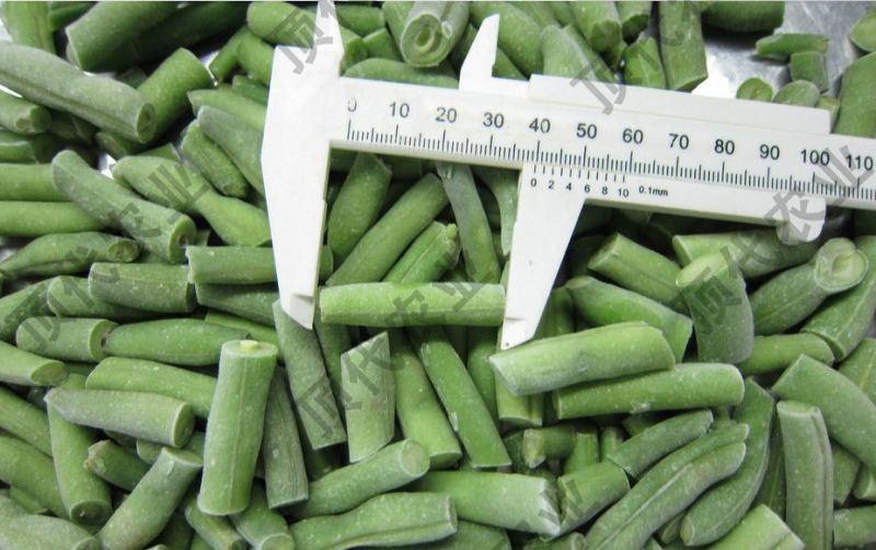 厂家供应速冻青刀豆速冻蔬菜批发冷冻蔬菜速冻青刀豆现货批发