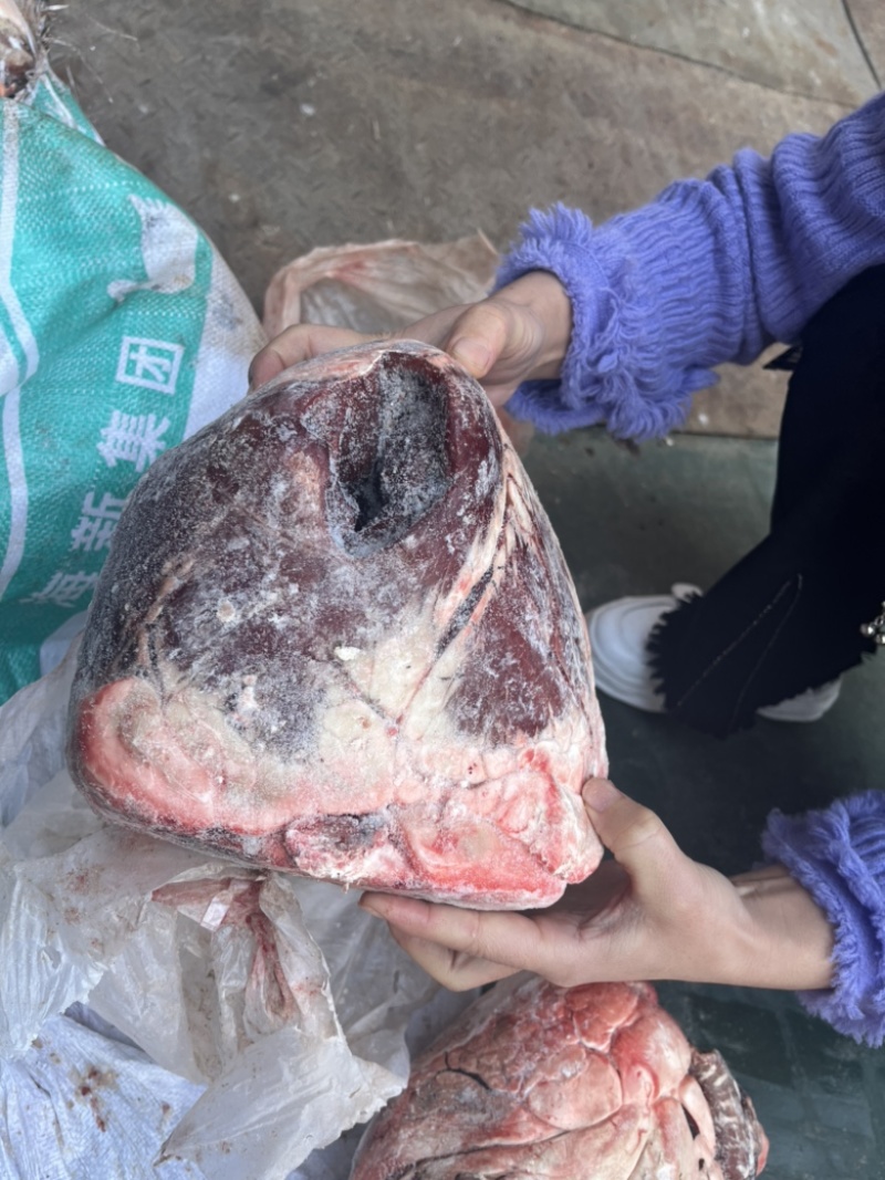 国产大个牛心、颜色鲜亮无水、无油。口感好
