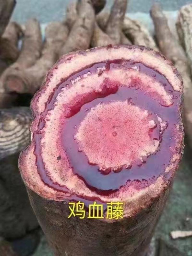 大山根子药，砍砍药，全面供货保证新鲜，保证质量品种丰富