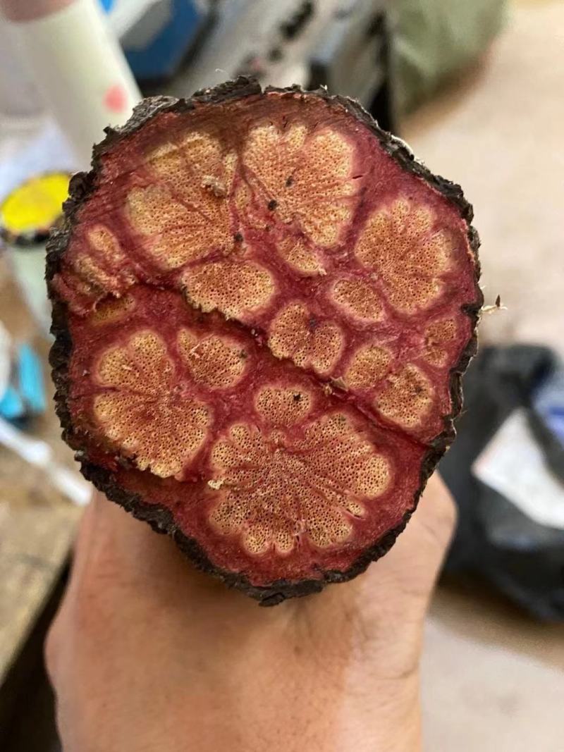大山根子药，砍砍药，全面供货保证新鲜，保证质量品种丰富