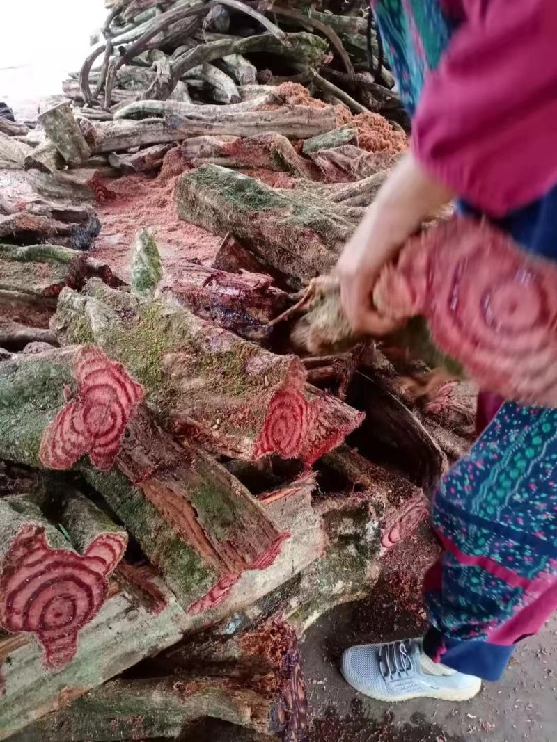 大山根子药，砍砍药，全面供货保证新鲜，保证质量品种丰富