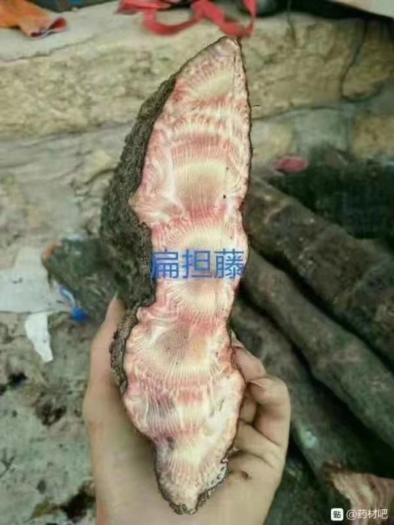 大山根子药，砍砍药，全面供货保证新鲜，保证质量品种丰富