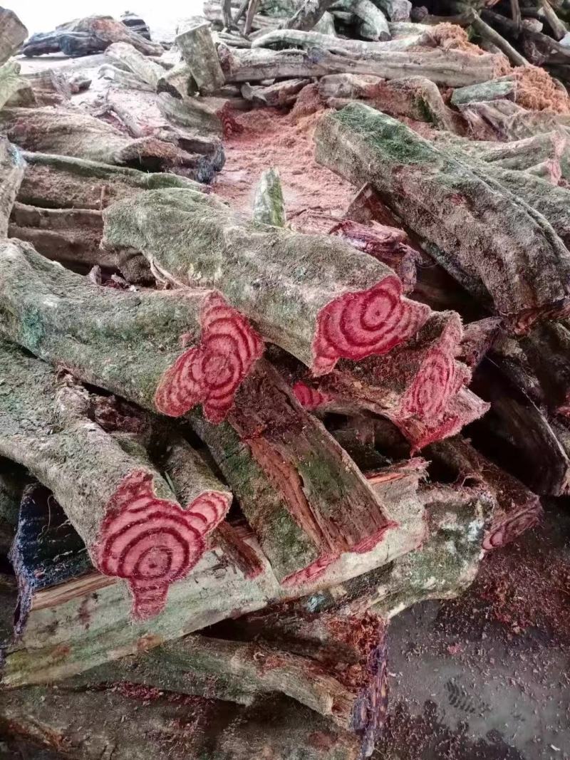 大山根子药，砍砍药，全面供货保证新鲜，保证质量品种丰富