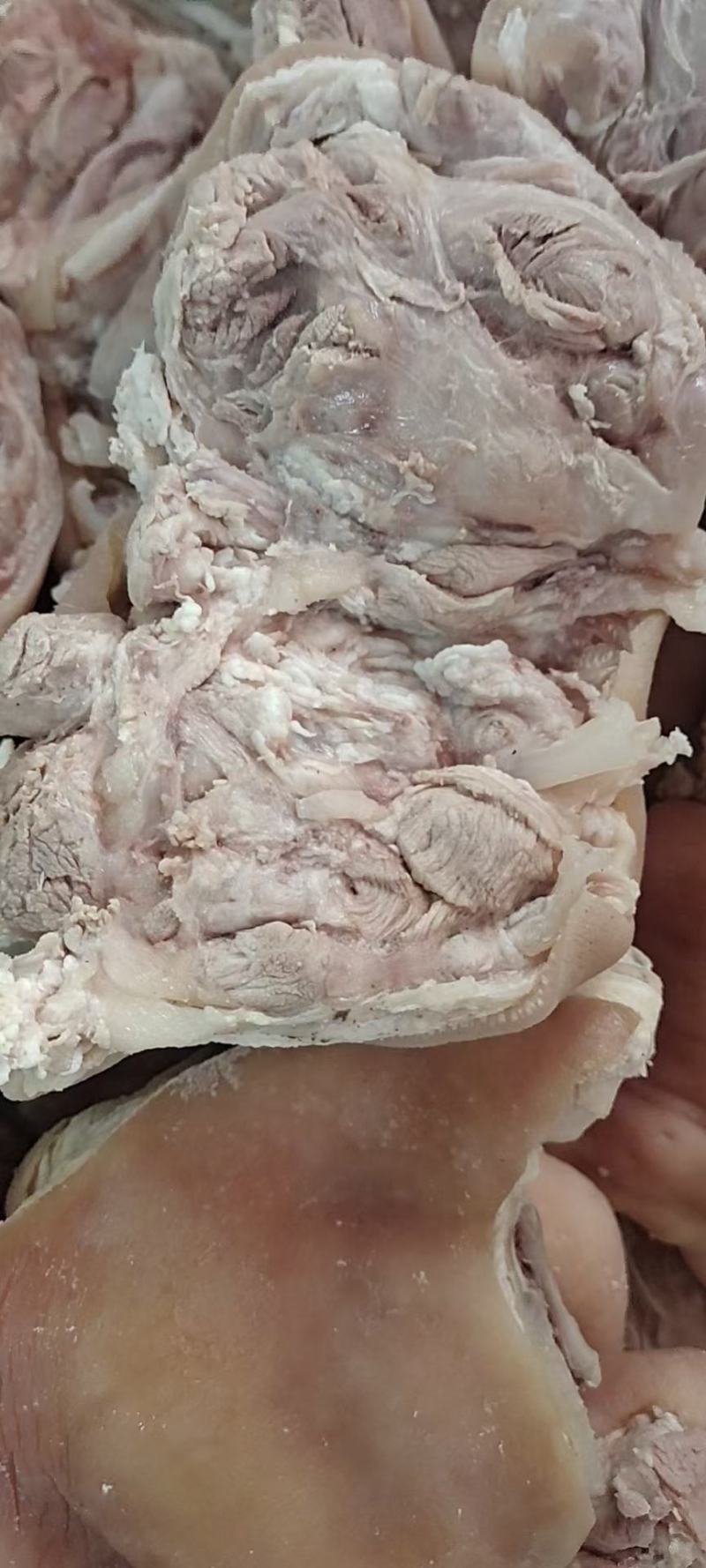 鲜货白水无骨猪肘子，价格实惠产地批发