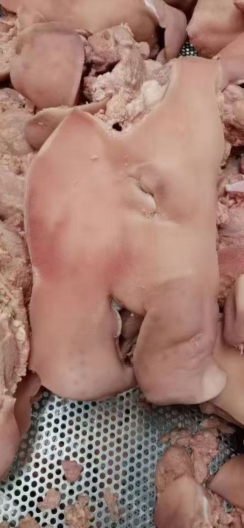 白水无骨猪头肉，八成熟一件20斤价格美丽厂家批发