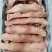 白水无骨猪头肉，八成熟一件20斤价格美丽厂家批发