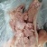 白水无骨猪头肉，八成熟一件20斤价格美丽厂家批发