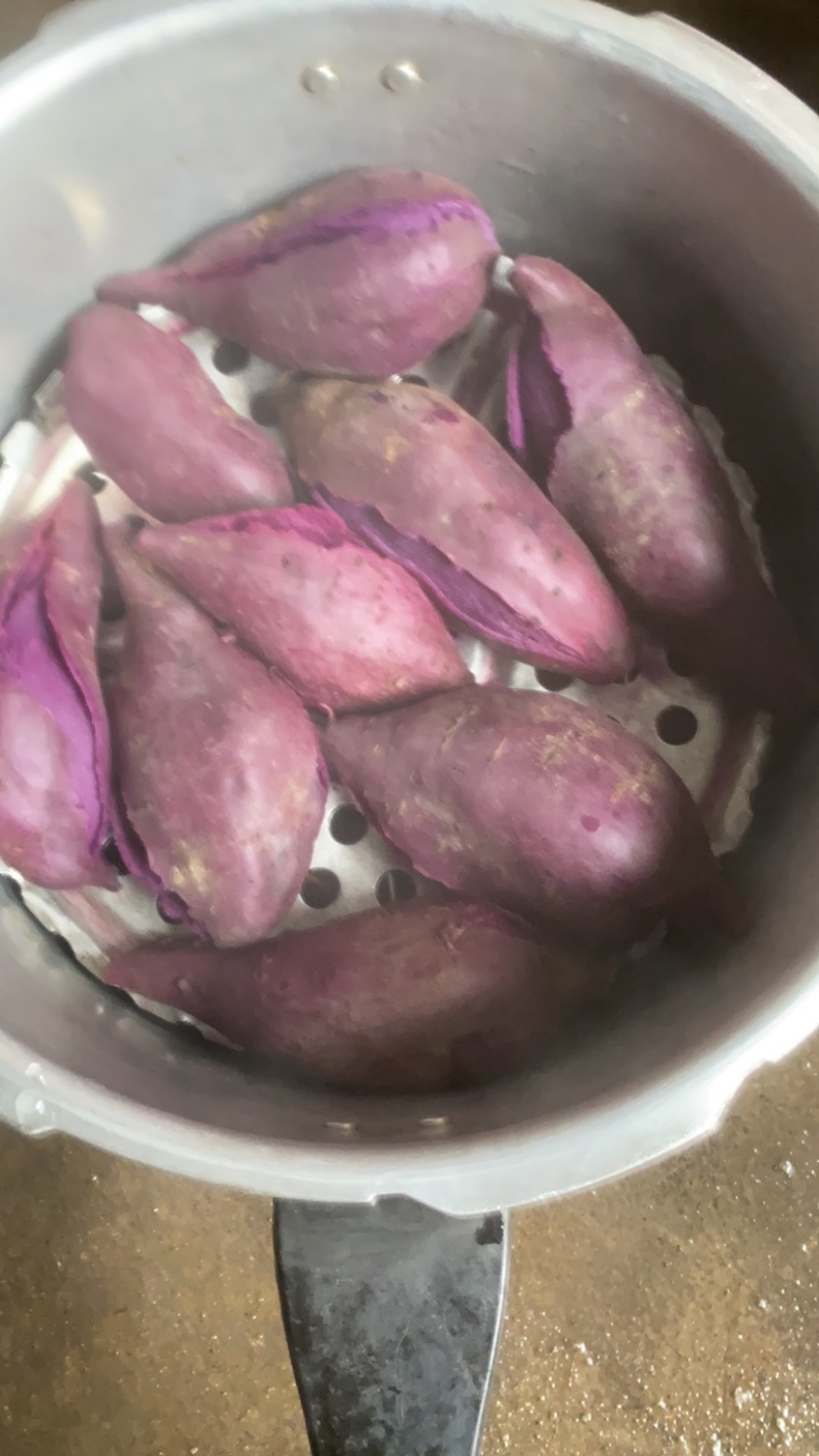 小花叶二代红薯苗