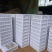 自家1000亩红宝石桃园开园啦！