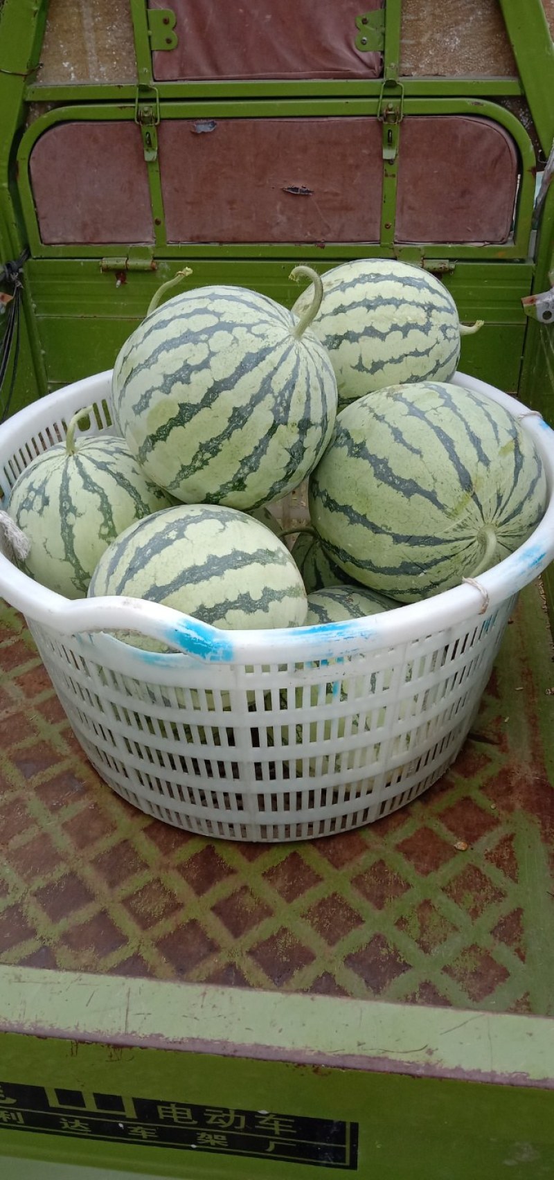 正宗8424玉脆西瓜