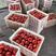河北硬粉西红柿果形园硬度好，价格便宜，代发全国质量保证