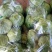 甘蓝，精品甘蓝大量上市，有专业打包团队，常年全国发货，疫