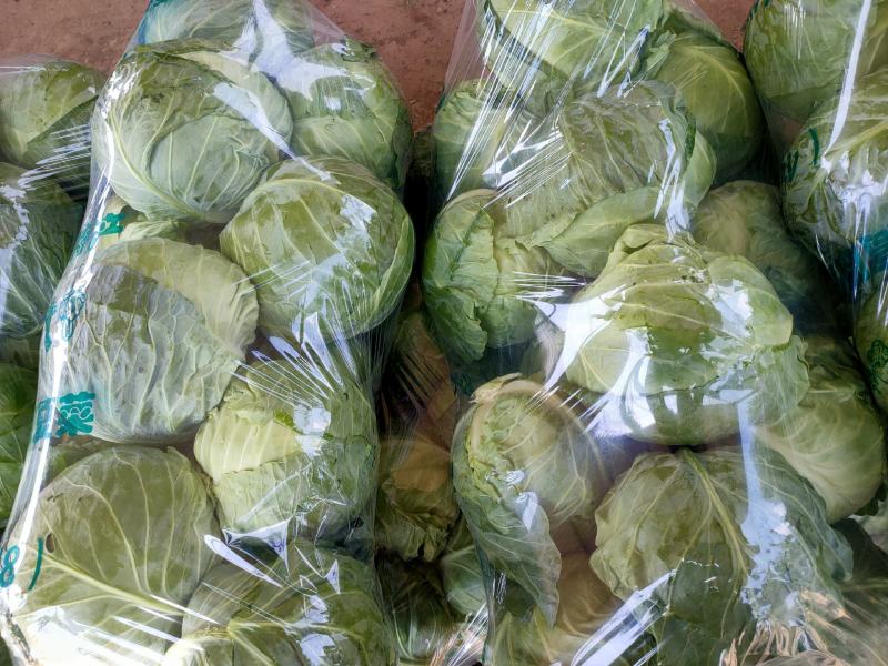 甘蓝，精品甘蓝大量上市，有专业打包团队，常年全国发货，疫