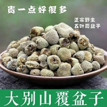 覆盆子中药材覆盆子茶覆盆子干果野生正品涩精明目缩尿