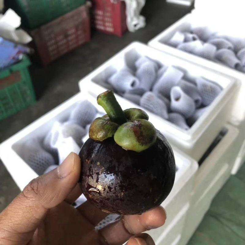【顺丰快递】山竹新鲜热带水果整箱五斤老树中果精选中果