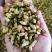 玳玳花干净无杂玳玳花非柚子花无硫烘干一件代发