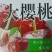 太白山山水大樱桃