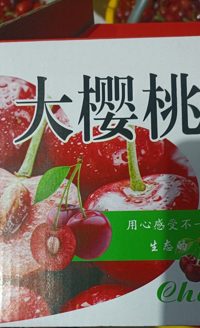 太白山山水大樱桃