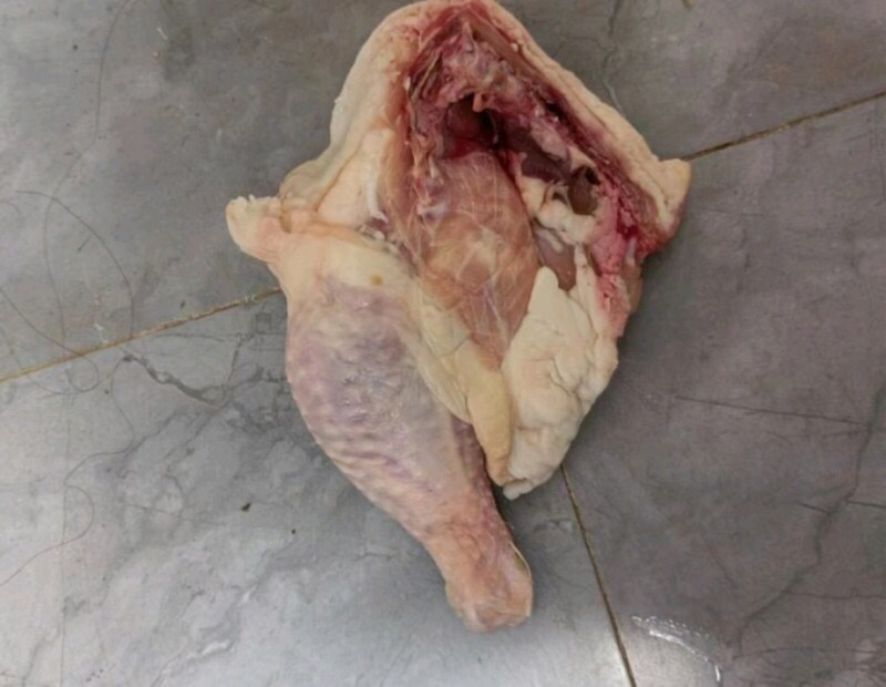 大葱与鸡腿肉的食材处理展示图