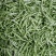 [热销]城固白不老豆角上市了，条直无虫眼，欢迎各地客商采