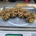 川藏高海拔地区冬虫夏草野生品质保证诚信经营