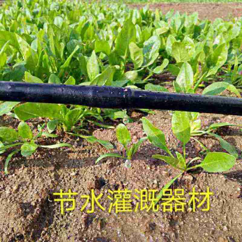 16mm内镶圆柱式滴灌管大棚果园葡萄草莓火龙果滴灌