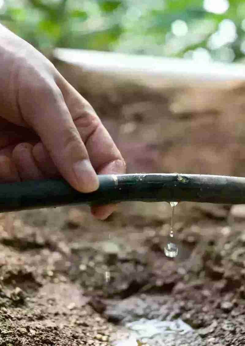 16mm内镶圆柱式滴灌管大棚果园葡萄草莓火龙果滴灌