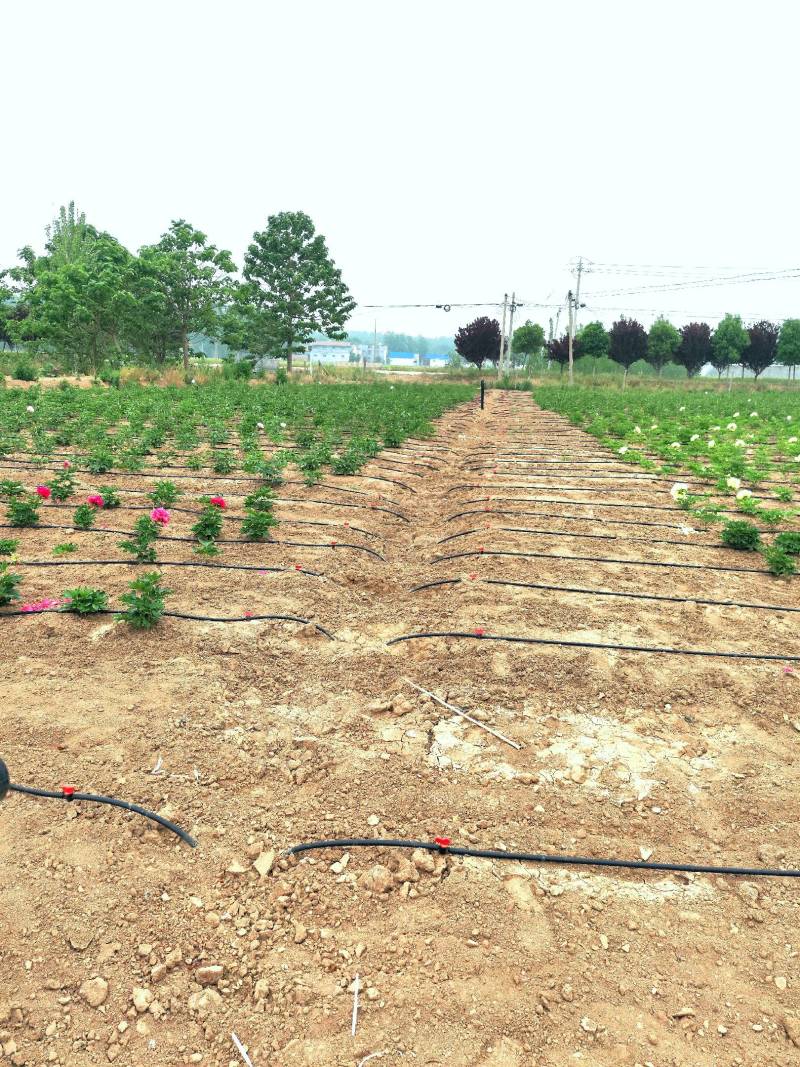 农用贴片滴灌带直径16MM滴灌微喷滴灌带出水均匀