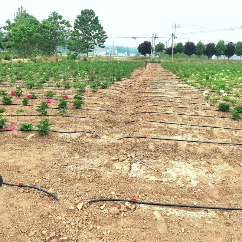 农用贴片滴灌带直径16MM滴灌微喷滴灌带出水均匀